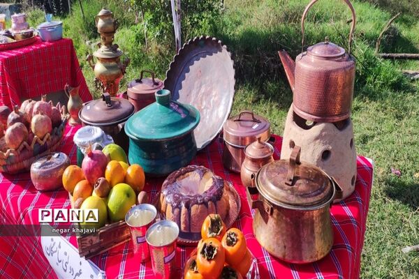 هفته ملی مازندران در دبستان شایستگان گلوگاه