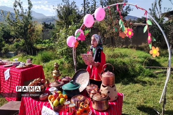 هفته ملی مازندران در دبستان شایستگان گلوگاه