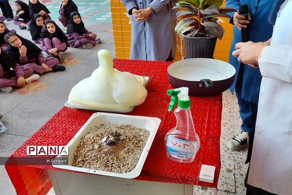 گرامیداشت  روز آزمایشگاه در دبیرستان دخترانه گلستان شهرستان مانه و سملقان