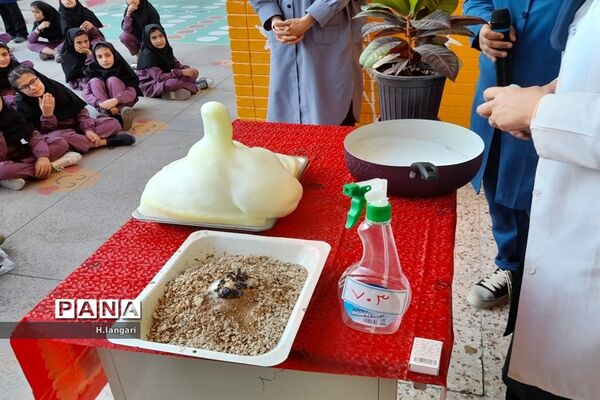گرامیداشت  روز آزمایشگاه در دبیرستان دخترانه گلستان شهرستان مانه و سملقان