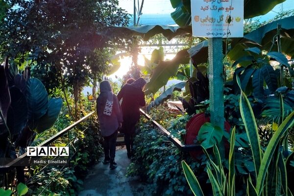 اولین جنگل استوایی کشور در شهرستان قرچک