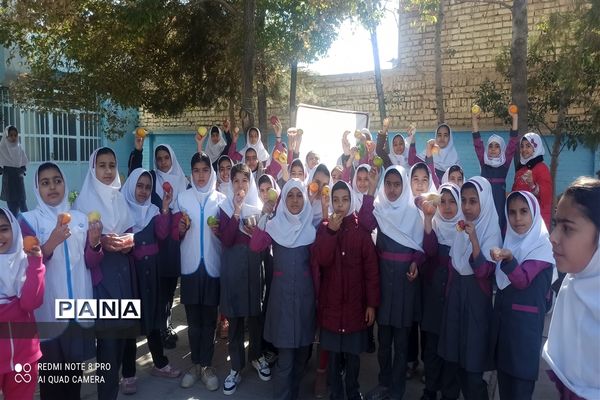 افتتاحیه سفیران سلامت