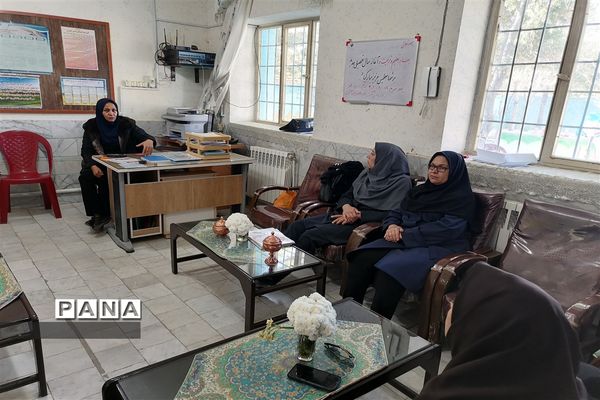 افتتاحیه سفیران سلامت