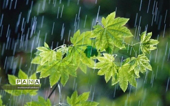 میزان بارش‌ها در کشور یک سوم متوسط جهانی است
