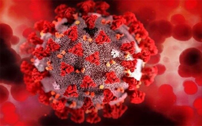 جدیدترین آمار کرونا؛ فوت ۲۹ نفر و شناسایی ۶۵۴ مبتلای جدید