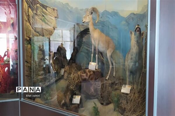 بازدید از پژوهش‌سرای شهید حجتی نجف‌آبادو برگزاری اولین جلسه مدیران سرقطب پژوهش‌سراهای استان در شهرستان نجف‌آباد