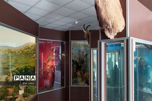 بازدید از پژوهش‌سرای شهید حجتی نجف‌آبادو برگزاری اولین جلسه مدیران سرقطب پژوهش‌سراهای استان در شهرستان نجف‌آباد