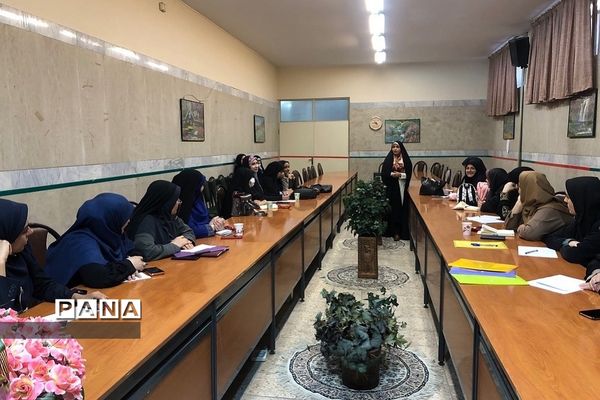 برگزاری کارگاه آموزشی ویژه معاونان پرورشی و رابطان پیشگیری در ناحیه 2 ری