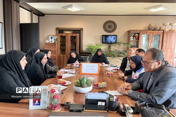 طرح ملی دادرس