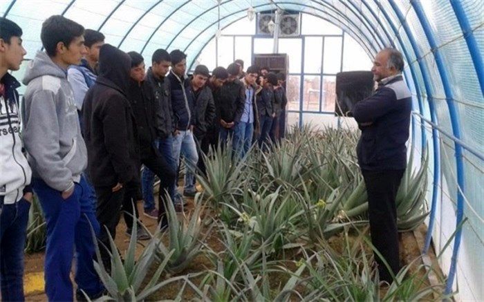 ضرورت ایجاد پیوند بین هنرستان‌ها و  فنی‌وحرفه‌ای ها برای تربیت  تکنسین