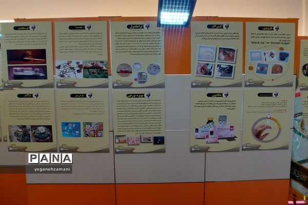 برگزاری نمایشگاه یاریگران زندگی