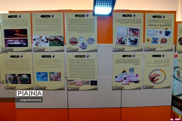 برگزاری نمایشگاه یاریگران زندگی