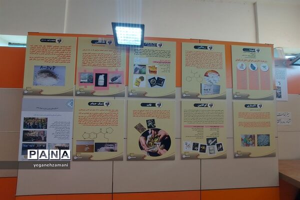 برگزاری نمایشگاه یاریگران زندگی