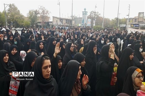 نوای همدردی عروسک‌ها