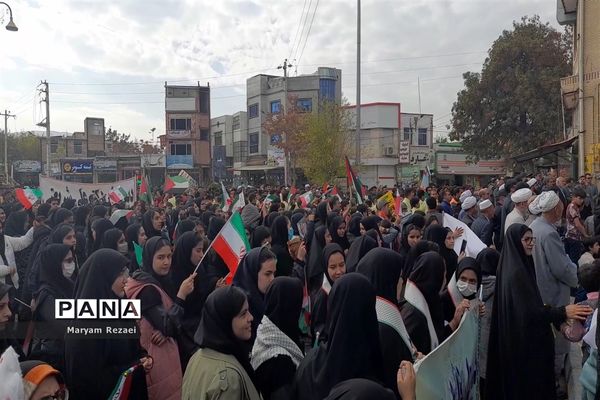 نوای همدردی عروسک‌ها