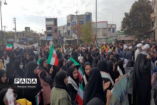 نوای همدردی عروسک‌ها