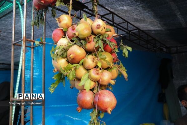 جشنواره یاقوت‌های سرخ فاروق