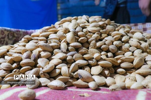 جشنواره یاقوت‌های سرخ فاروق