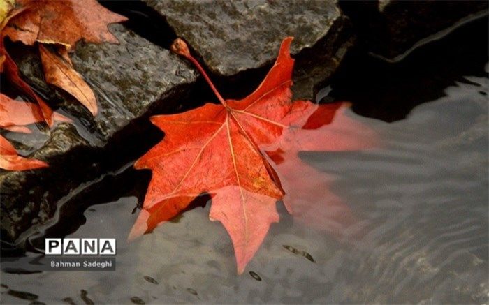 کاهش 5 تا 10 درجه‌ای دمای هوا در کشوراز فردا