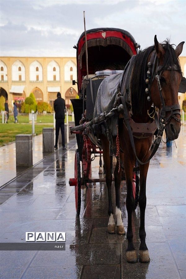 طراوت باران در اصفهان پاییزی