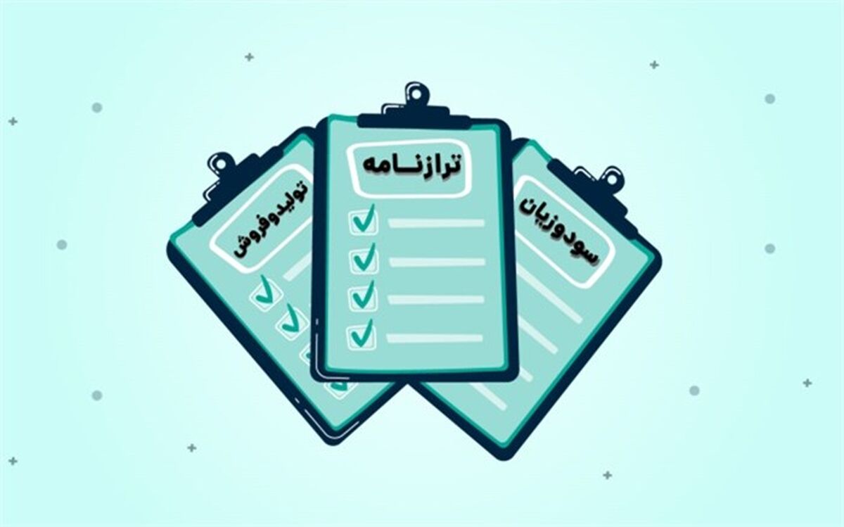 نگاهی از نزدیک به صورت‌های مالی 289 شرکت دولتی