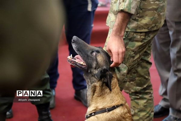 نمایشگاه یاریگران زندگی