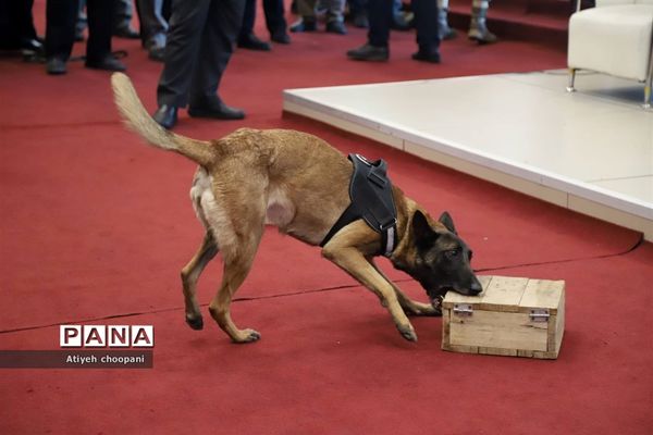 نمایشگاه یاریگران زندگی