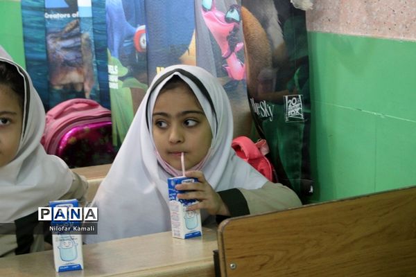 طرح توزیع شیر رایگان در مدارس استان بوشهر ( 2 )