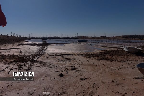 حضور دسته‌جمعی نومعلمان فارس در محضر اساتید ایثار و شهادت