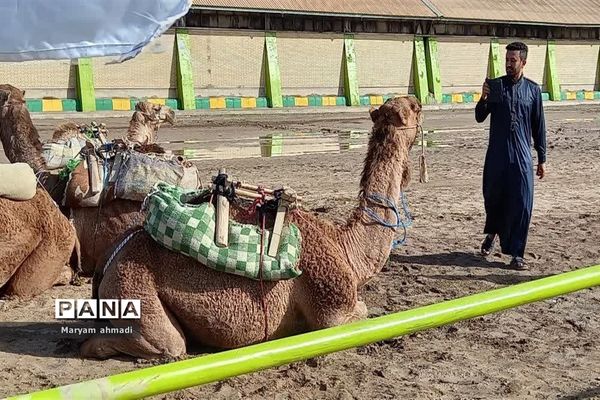 سومین جشنواره شکرستان