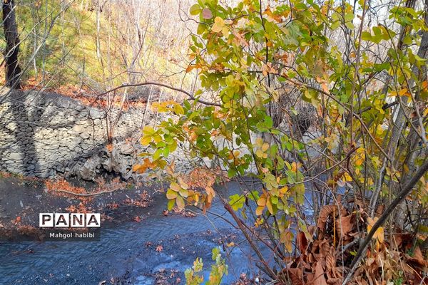 زیبایی روستای دهبار طرقبه در فصل پاییز