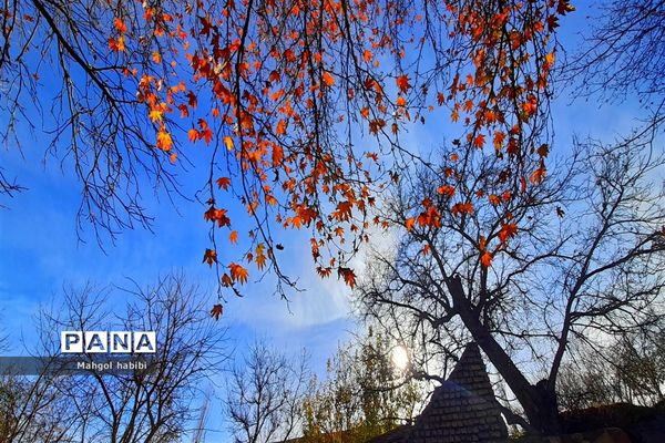 زیبایی روستای دهبار طرقبه در فصل پاییز