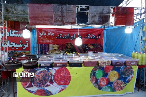 نمایشگاه کار آفرینی صنایع دستی و مشاغل خانگی در میاندورود