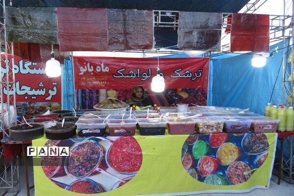 نمایشگاه کار آفرینی صنایع دستی و مشاغل خانگی در میاندورود