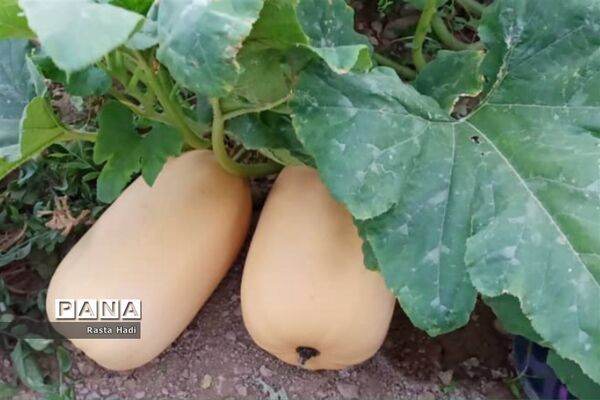 پاییز در شهر سورمق