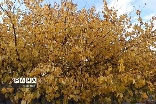 پاییز در شهر سورمق
