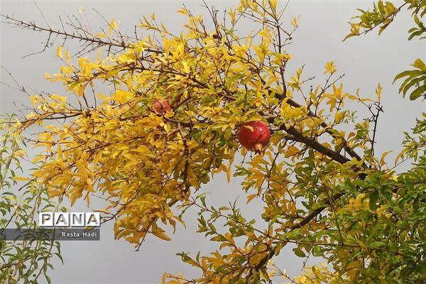 پاییز در شهر سورمق