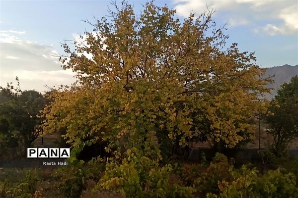 پاییز در شهر سورمق