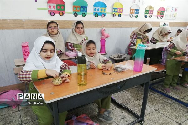 روز بدون کیف و کتاب دانش‌آموزان دبستان شاهد حریت بهبهان