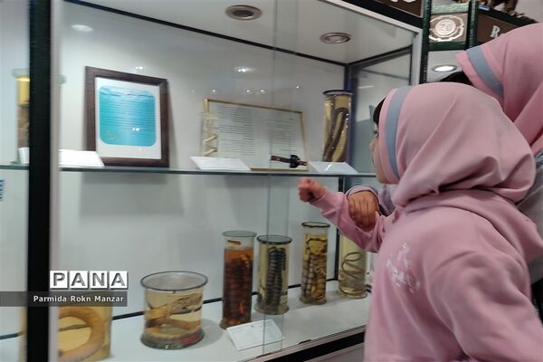 بازدید علمی دانش‌آموزان دبستان شاهد فاطمه الزهرا(س)ازموزه تاریخ طبیعی و تکنولوژی دانشگاه شیراز