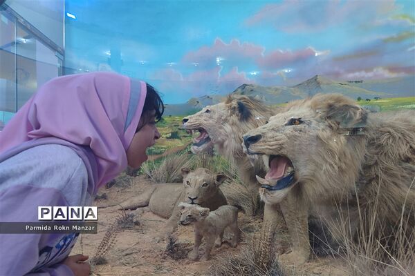 بازدید علمی دانش‌آموزان دبستان شاهد فاطمه الزهرا(س)ازموزه تاریخ طبیعی و تکنولوژی دانشگاه شیراز