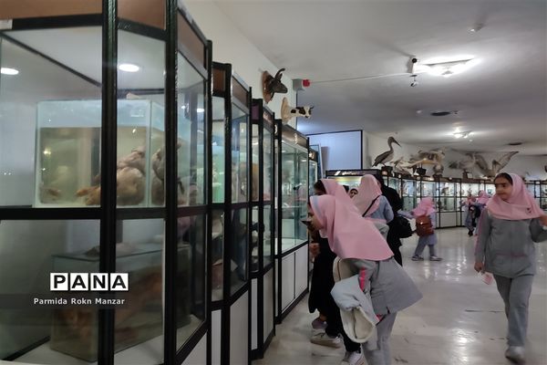 بازدید علمی دانش‌آموزان دبستان شاهد فاطمه الزهرا(س)ازموزه تاریخ طبیعی و تکنولوژی دانشگاه شیراز