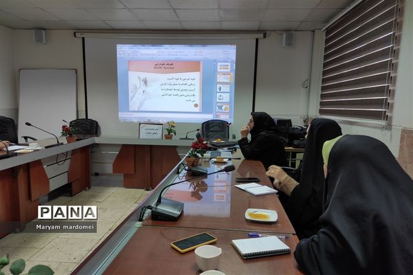 اولین کارگاه توانمند‌سازی ویژه مشاوران شهرستان‌قرچک