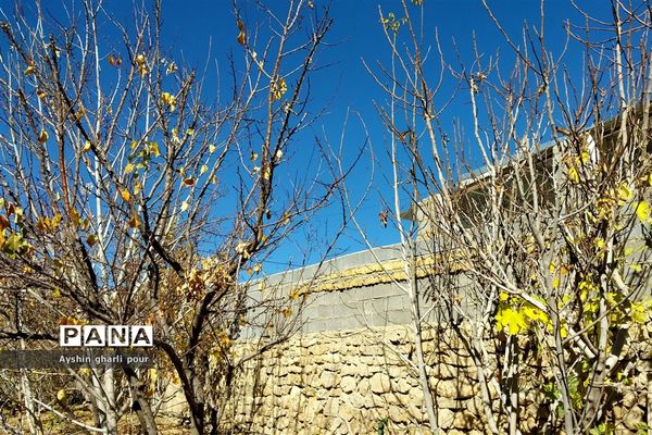 فصل پاییز در شیراز