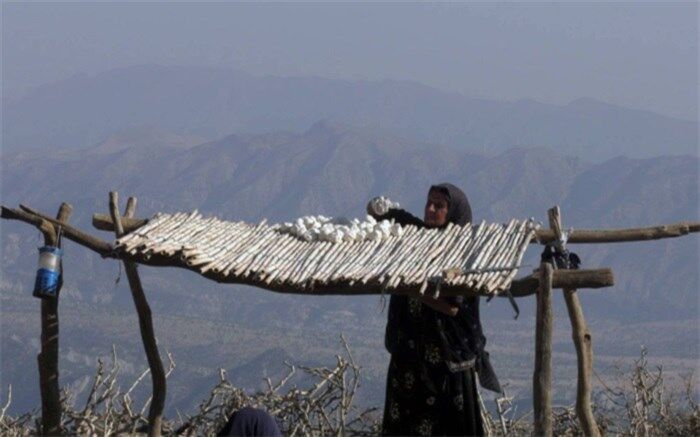 پرداخت مشکلات زنان عشایری در «دختر کوه نور»