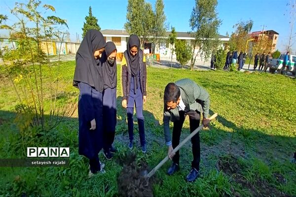 آغاز طرح مردمی کاشت یک میلیارد درخت همزمان با سراسر کشور در گلوگاه