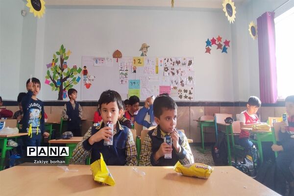 آغاز توزیع شیر رایگان در مدارس خراسان شمالی