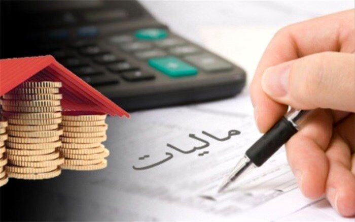 دولت، مجلس و سازمان امور مالیاتی به فرارمالیاتی مشاغل خاص ورود کنند