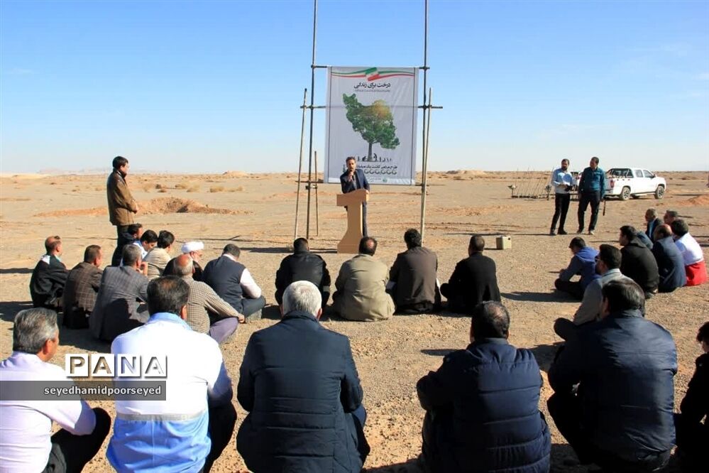 آغاز کاشت نهال تاغ در منطقه ۳۵۰۰ هکتاری غرب ابرکوه