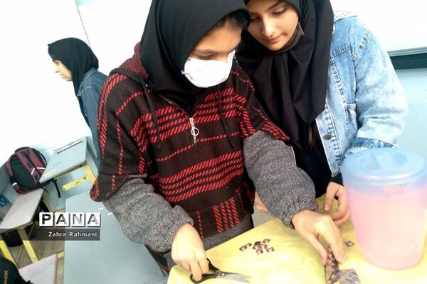 افزایش سلامتی با اجرای طرح آهن‌یاری و حرکات کششی در دبیرستان حجاب ناحیه یک ری